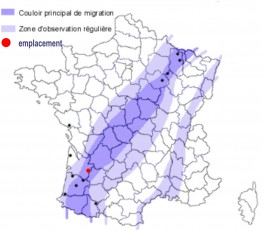 Palombière en état d'utilisation immédiate