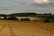 Chasse aux petits gibiers