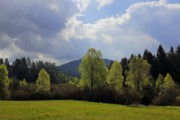 Magnifique chasse des Vosges du nord