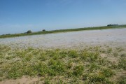 Marais de chasse aménagé en marais vendée