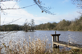 OUVERTURE CANARD EN SOLOGNE 3 ÉTANGS