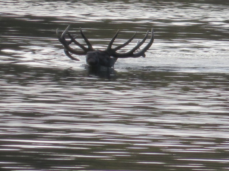 Location territoire de chasse