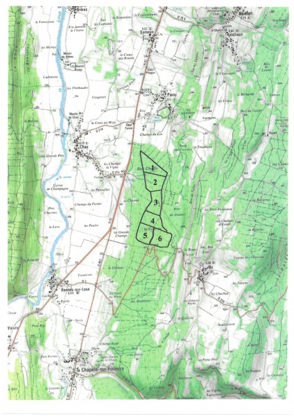 Chasse à louer à CHAY et PAROY (25)