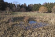 Le marais du nemrod en baie de somme