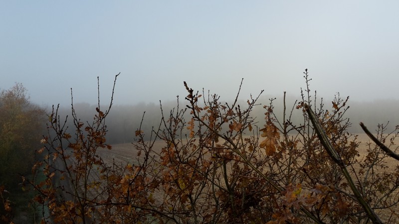 Sologne journée chasse affût ou approche