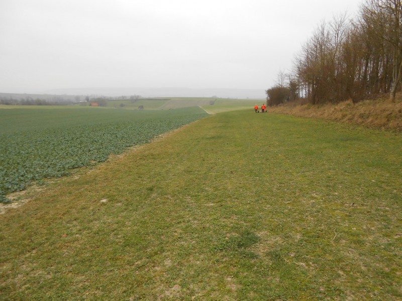 Chasse libre aux chiens devant soi