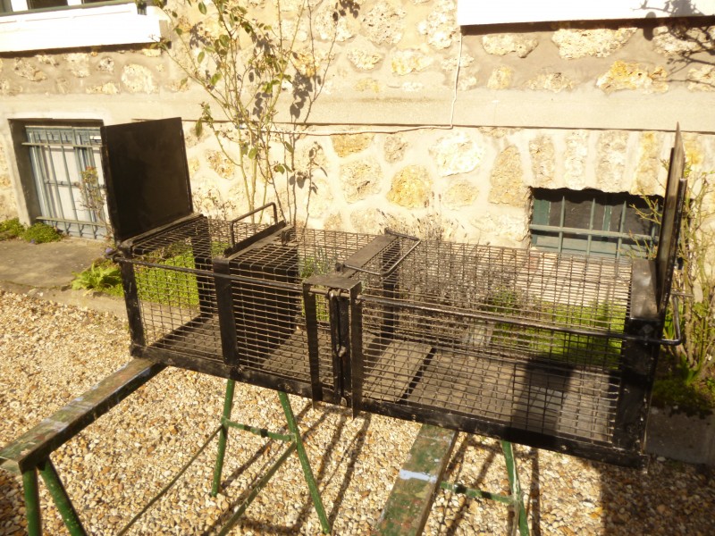 Cage en fer pour piéger des animaux nuisibles