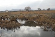 CAILLE ESPAGNE en Castilla Lèon