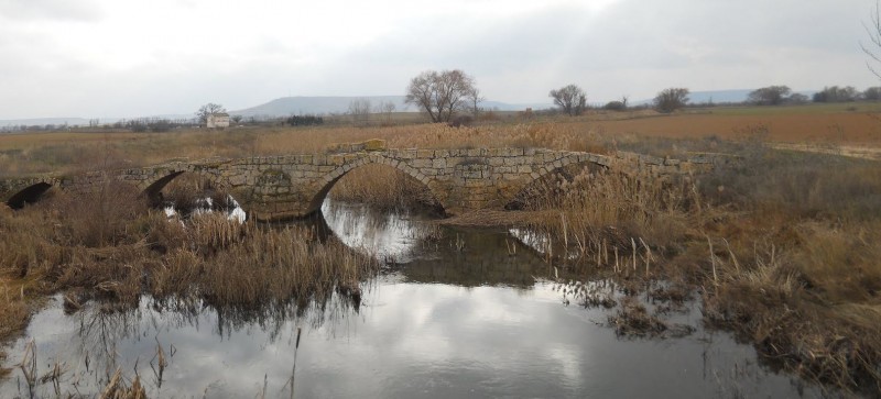 CAILLE ESPAGNE en Castilla Lèon