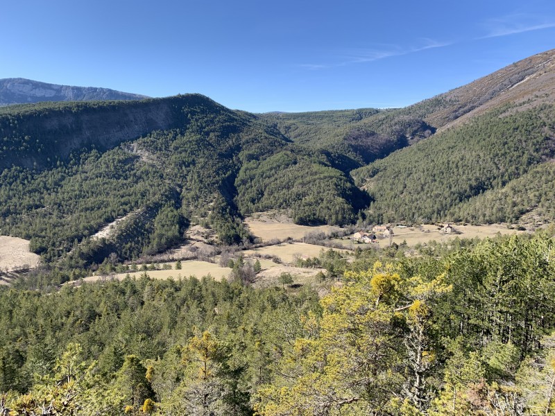 Action de chasse, Secteur Valdrôme, Pays Diois