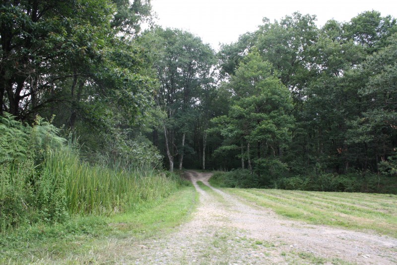 Domaine de Chasses / Ancien Moulin renové