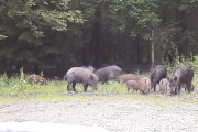 4 vendredi de chasse au coeur de la champagne