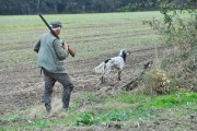 RECHERCHE TERRITOIRE DE CHASSE EN SOLOGNE DU LOIRET