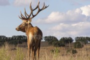 Chasse à l'approche Espagne