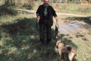 Action de chasse petit et Grand gibier Saône et Loire