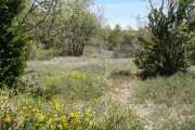 Terrain de chasse de 11 hectares prix négociable