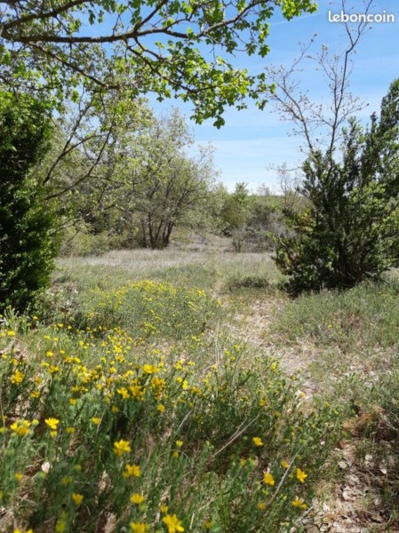 Terrain de chasse de 11 hectares prix négociable