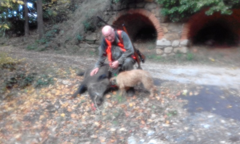 ACTION CHASSE GRAND GIBER CANTAL