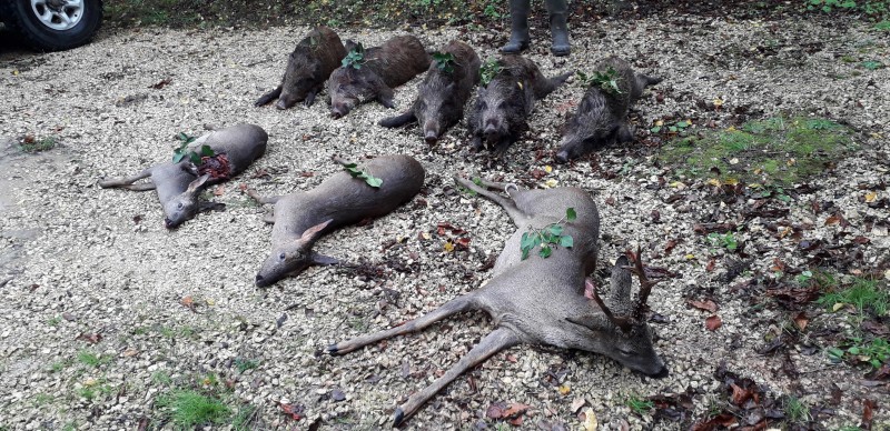 Recherche actionnaires de chasse