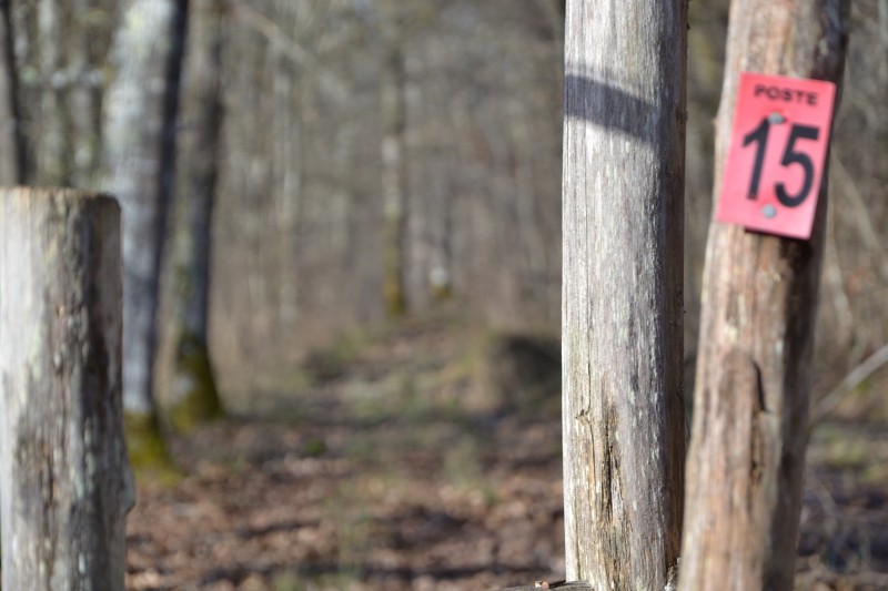 Propriété de chasse recherche Garde chasse