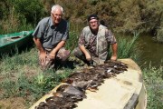 Action de chasse en Camargue