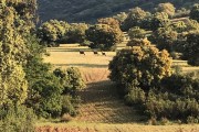 Monteria avec petit groupe de belges sympathiques