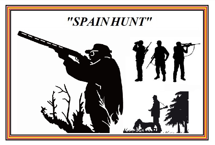 Chasse petit et grand gibier en Espagne