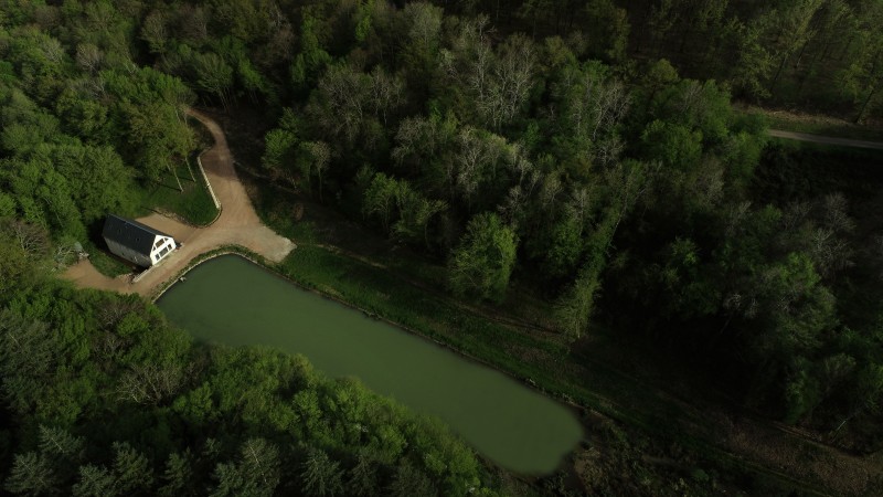 Chasse en forêt des Bertranges (Nièvre 58)