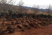 MONTERIA EN EXCLUSIVITÉ POUR NOTRE GROUPE.