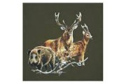 Recherche territoire de chasse à louer Normandie pour saison 2025 2026 et plus