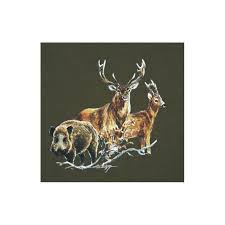 Recherche territoire de chasse à louer Normandie pour saison 2025 2026 et plus