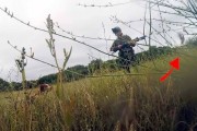 Dréssage de vos chiens sur cailles en Espaagne.