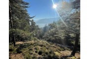 Part de chasse en Alsace