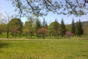 Couple retraité cherche gardiennage dans propriété privée.