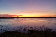 Chasse en Camargue