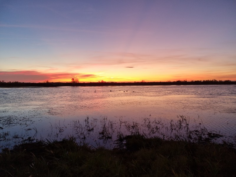 Chasse en Camargue