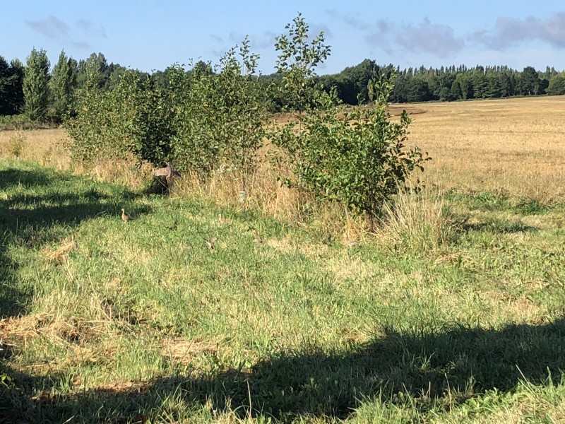 Territoire de chasse a louer
