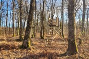 Chasse en forêt des Bertranges (Nièvre 58)