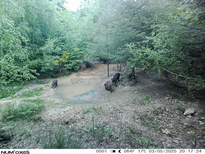 Recherche Partenaires pour Territoire Chasse à l'Approche