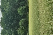 Action de chasse
