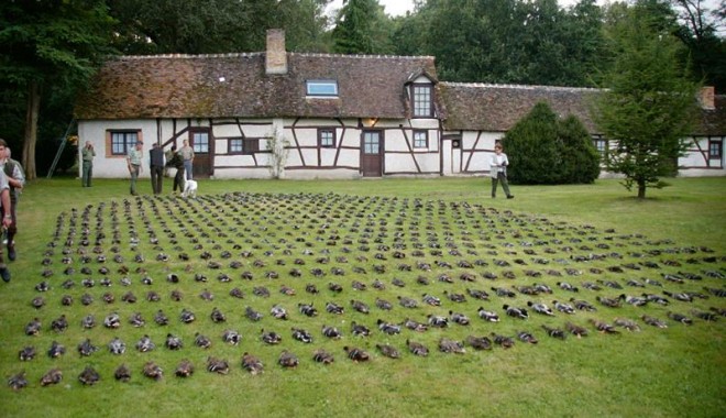 Séjour de chasse Domaine du Boulay