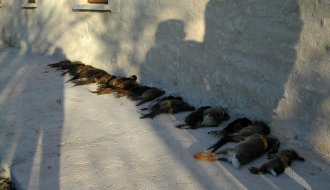 Séjour de chasse Domaines de Calmels & du Luc