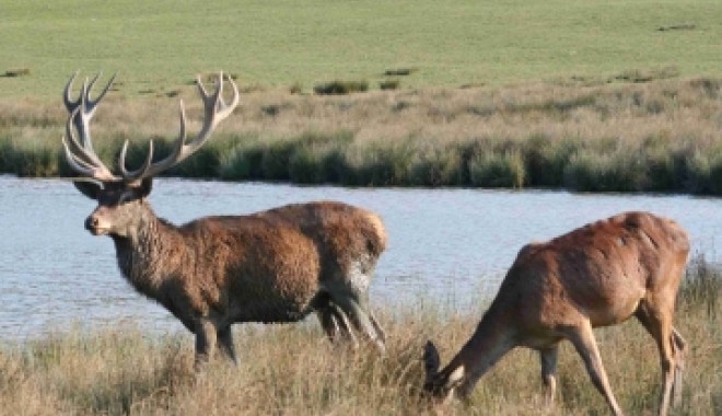 Séjour de chasse Domaines de Calmels & du Luc