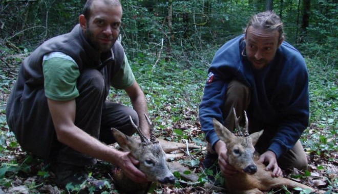 Séjour de chasse Approche brocard - Esprit Sauvage