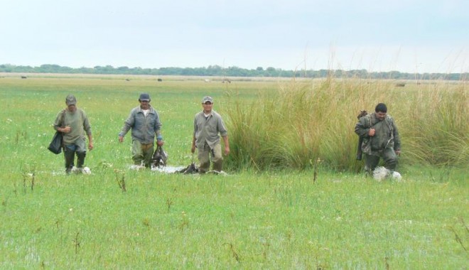 Séjour de chasse Argentine - Orchape