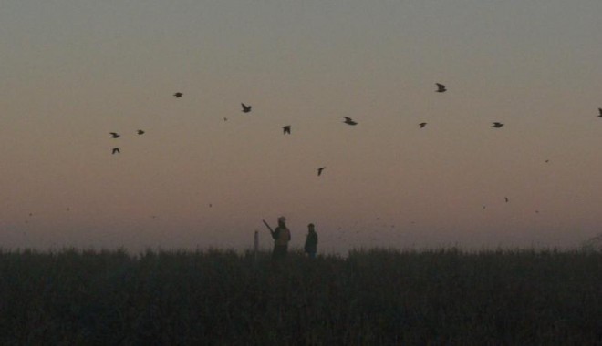 Séjour de chasse Argentine - Orchape