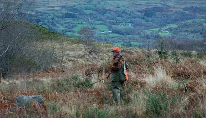 Séjour de chasse Irlande - Orchape