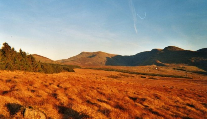 Séjour de chasse Irlande - Orchape