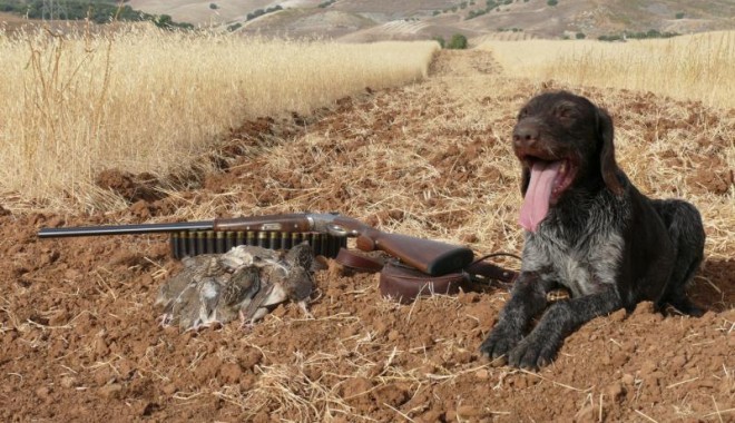 Séjour de chasse Maroc - Orchape