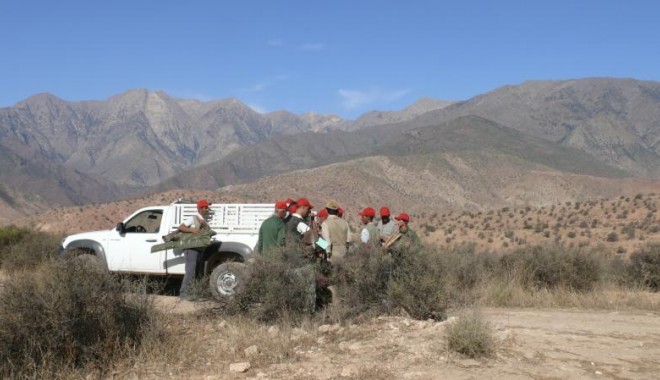 Séjour de chasse Maroc - Orchape